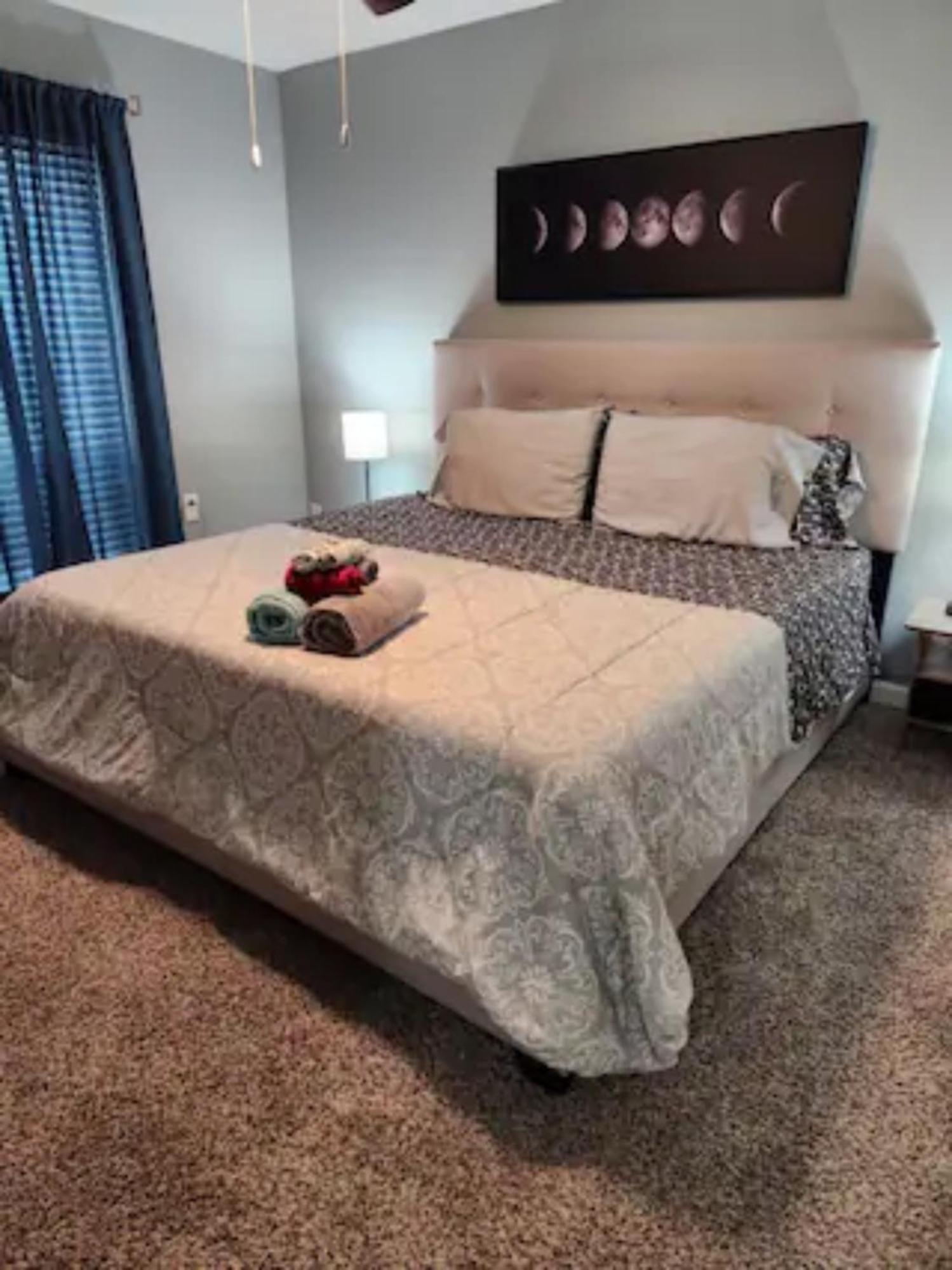 Blue Shark *B501* @ Medical Center 1Br Modern King Apartment With Private Patio Houston Dış mekan fotoğraf